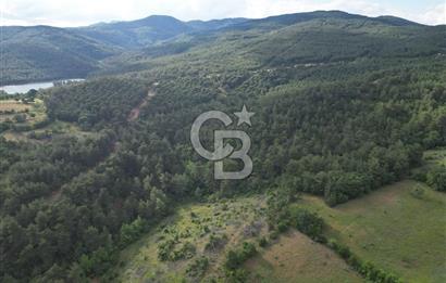 Çanakkale Yenice Ahiler Köyünde 5.762 M² Satılık Tarla !