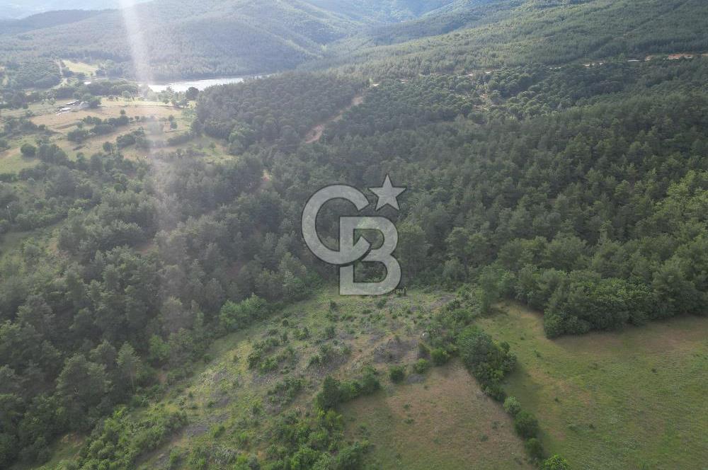 Çanakkale Yenice Ahiler Köyünde 5.762 M² Satılık Tarla !