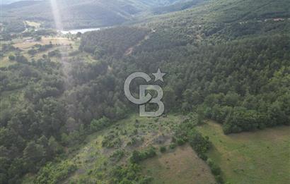 Çanakkale Yenice Ahiler Köyünde 5.762 M² Satılık Tarla !