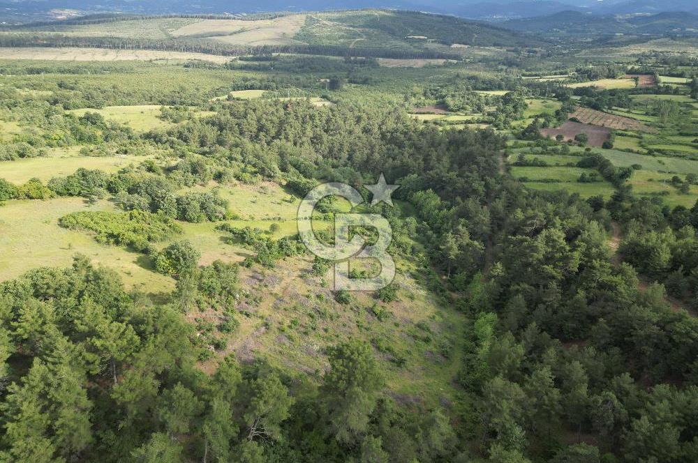 Çanakkale Yenice Ahiler Köyünde 5.762 M² Satılık Tarla !