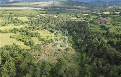 Çanakkale Yenice Ahiler Köyünde 5.762 M² Satılık Tarla !