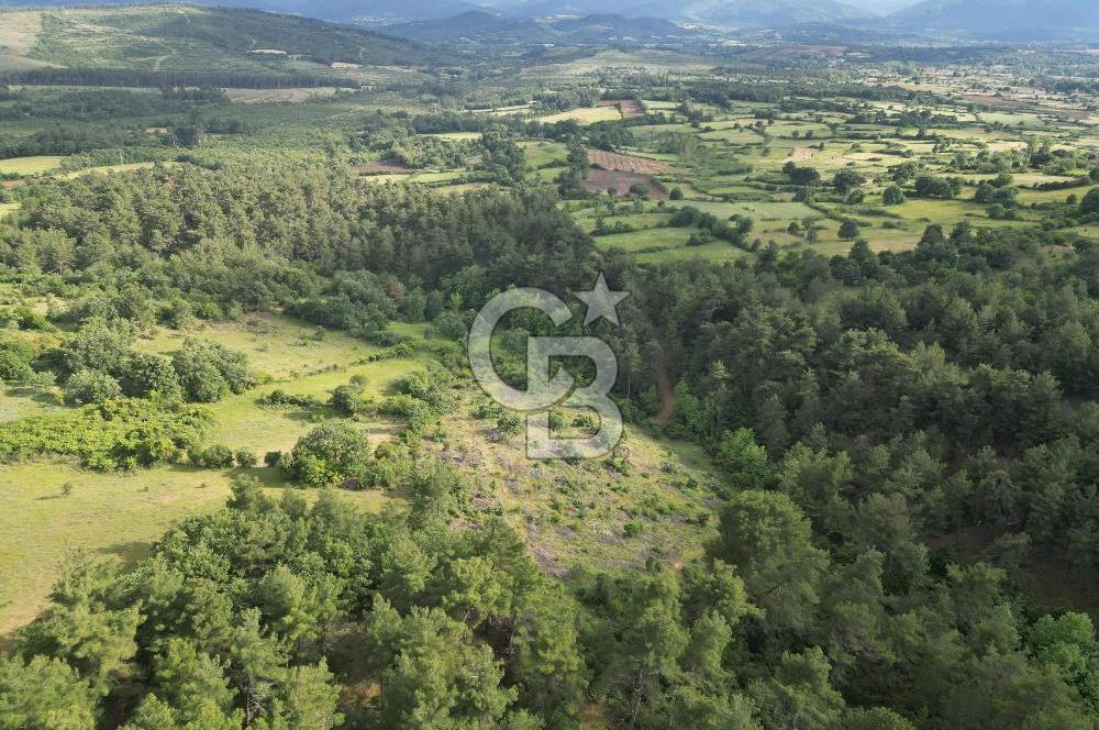 Çanakkale Yenice Ahiler Köyünde 5.762 M² Satılık Tarla !
