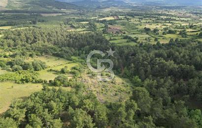 Çanakkale Yenice Ahiler Köyünde 5.762 M² Satılık Tarla !