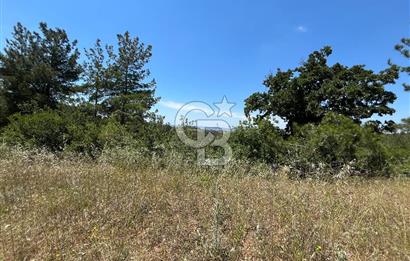 ÇANAKKALE MERKEZ ELMACIK KÖYÜNDE KAÇMAZ FIRSAT TARLA