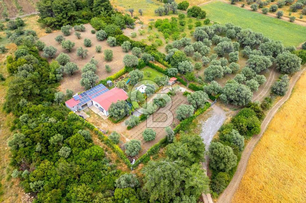 URLA ÖZBEK MAH. 2186 M2 İÇERİSİNDE TAM MÜSTAKİL EV