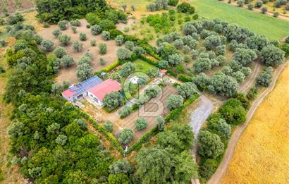 URLA ÖZBEK MAH. 2186 M2 İÇERİSİNDE TAM MÜSTAKİL EV