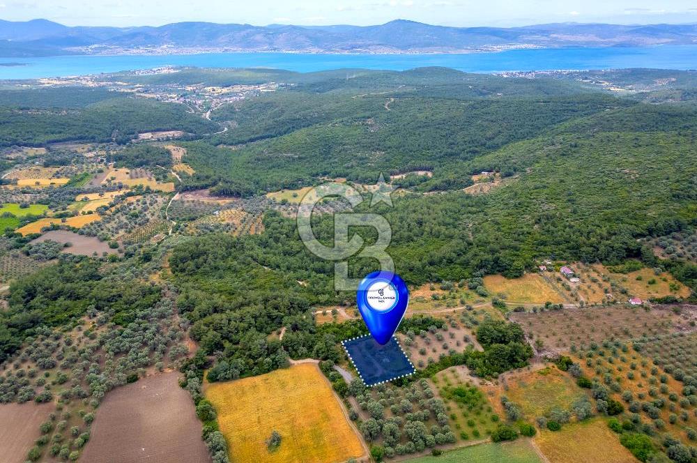URLA ÖZBEK MAH. 2186 M2 İÇERİSİNDE TAM MÜSTAKİL EV