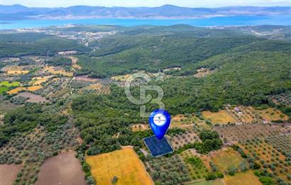 URLA ÖZBEK MAH. 2186 M2 İÇERİSİNDE TAM MÜSTAKİL EV