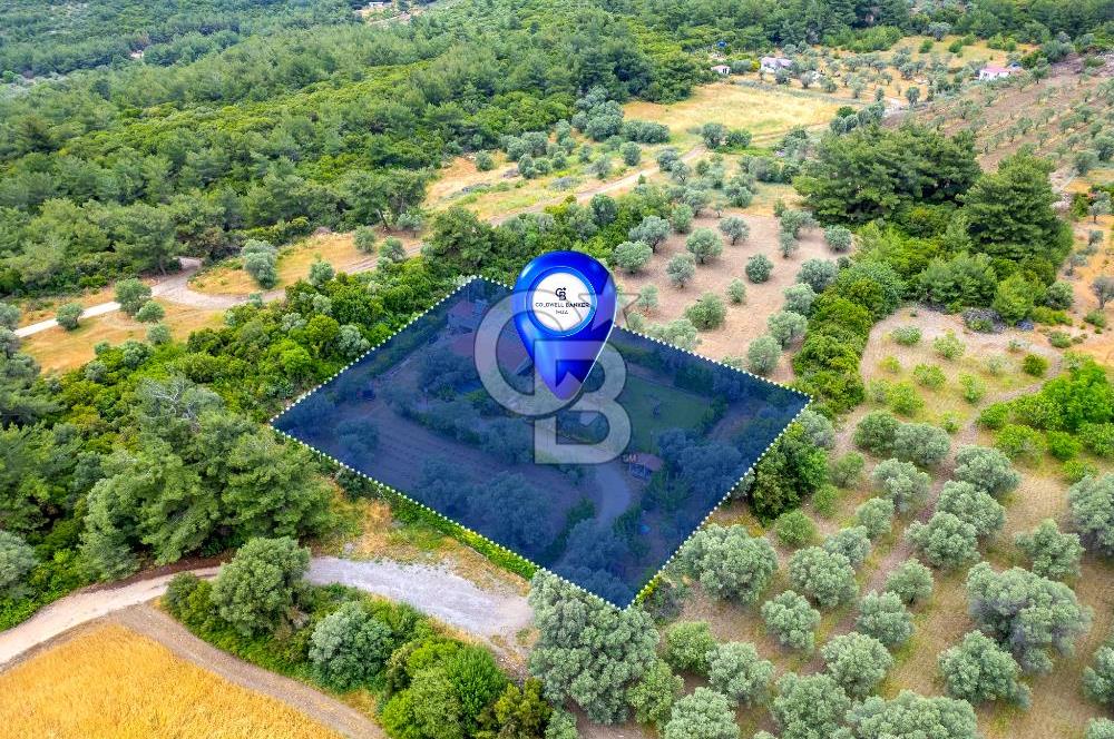 URLA ÖZBEK MAH. 2186 M2 İÇERİSİNDE TAM MÜSTAKİL EV