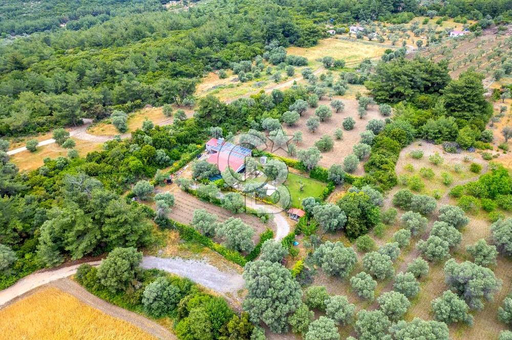 URLA ÖZBEK MAH. 2186 M2 İÇERİSİNDE TAM MÜSTAKİL EV