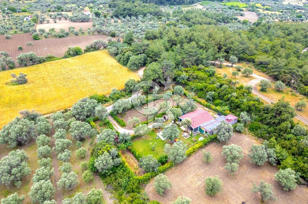 URLA ÖZBEK MAH. 2186 M2 İÇERİSİNDE TAM MÜSTAKİL EV
