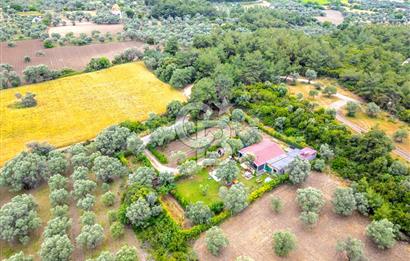 URLA ÖZBEK MAH. 2186 M2 İÇERİSİNDE TAM MÜSTAKİL EV