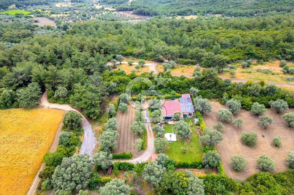 URLA ÖZBEK MAH. 2186 M2 İÇERİSİNDE TAM MÜSTAKİL EV