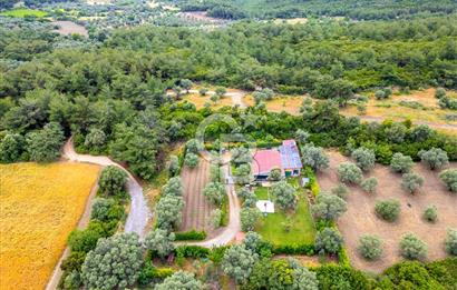 URLA ÖZBEK MAH. 2186 M2 İÇERİSİNDE TAM MÜSTAKİL EV