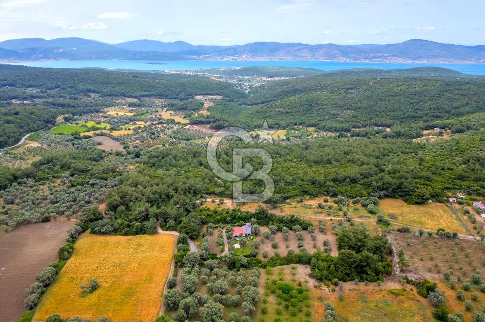 URLA ÖZBEK MAH. 2186 M2 İÇERİSİNDE TAM MÜSTAKİL EV