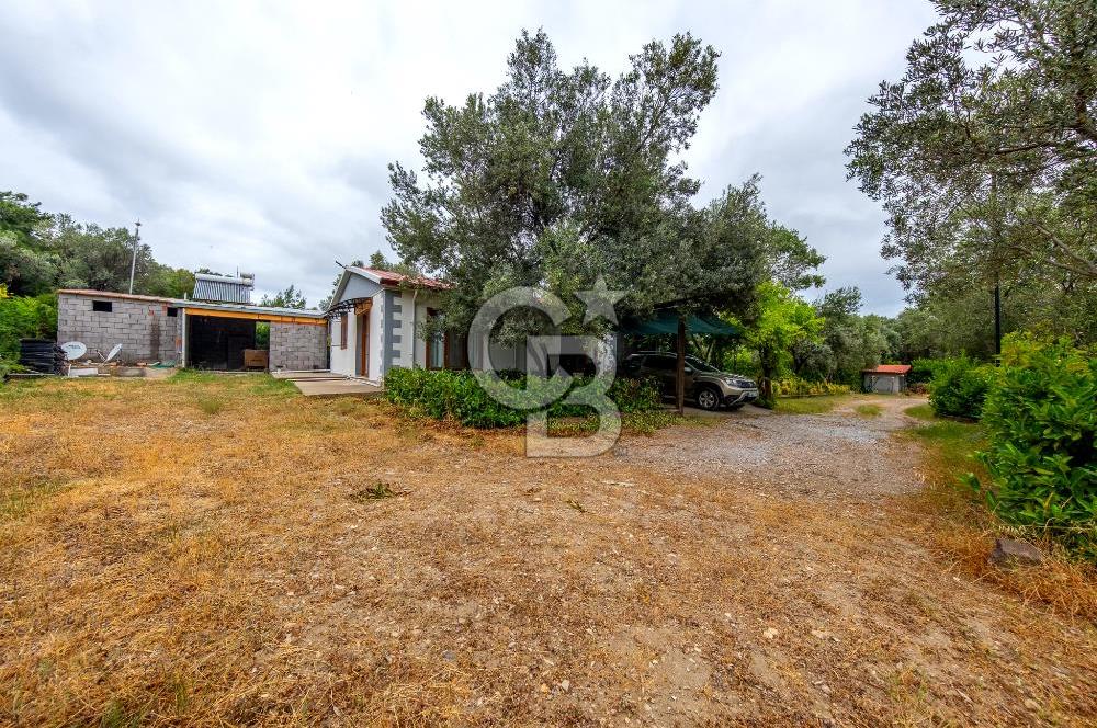 URLA ÖZBEK MAH. 2186 M2 İÇERİSİNDE TAM MÜSTAKİL EV