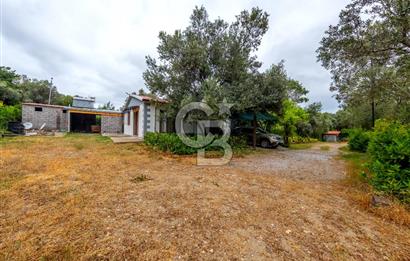 URLA ÖZBEK MAH. 2186 M2 İÇERİSİNDE TAM MÜSTAKİL EV