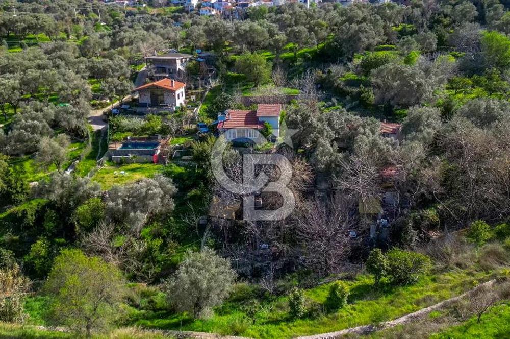 İZMİR'İN EŞSİZ LOKASYONUNDA HAVUZLU 3 MÜSTAKİL EV VE BAHÇESİ