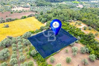 URLA ÖZBEK MAH. 2186 M2 İÇERİSİNDE TAM MÜSTAKİL EV