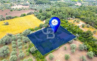 URLA ÖZBEK MAH. 2186 M2 İÇERİSİNDE TAM MÜSTAKİL EV