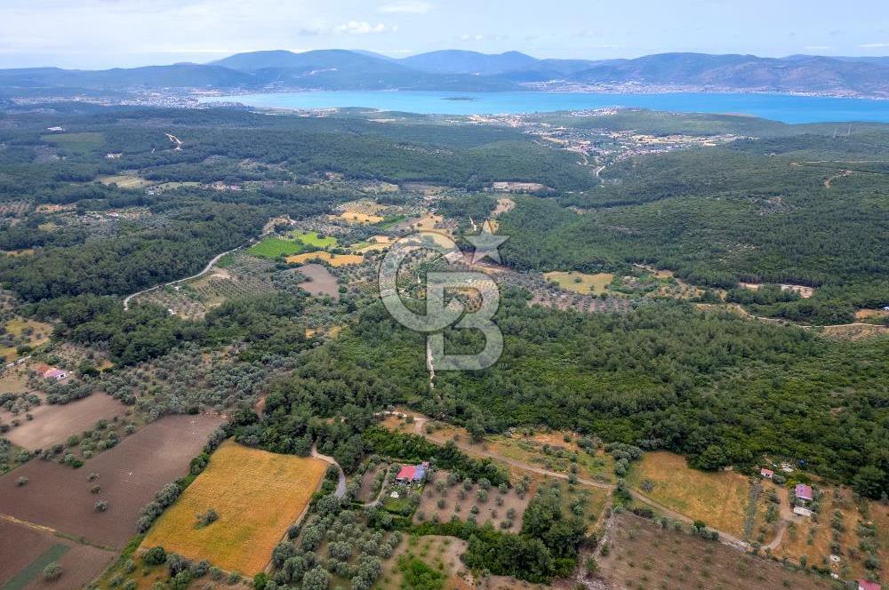 URLA ÖZBEK MAH. 2186 M2 İÇERİSİNDE TAM MÜSTAKİL EV