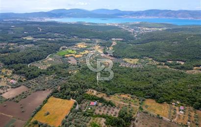 URLA ÖZBEK MAH. 2186 M2 İÇERİSİNDE TAM MÜSTAKİL EV
