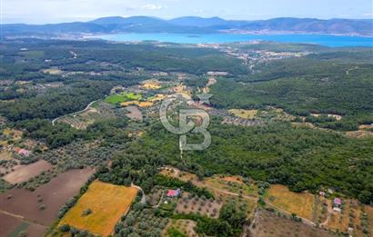 URLA ÖZBEK MAH. 2186 M2 İÇERİSİNDE TAM MÜSTAKİL EV
