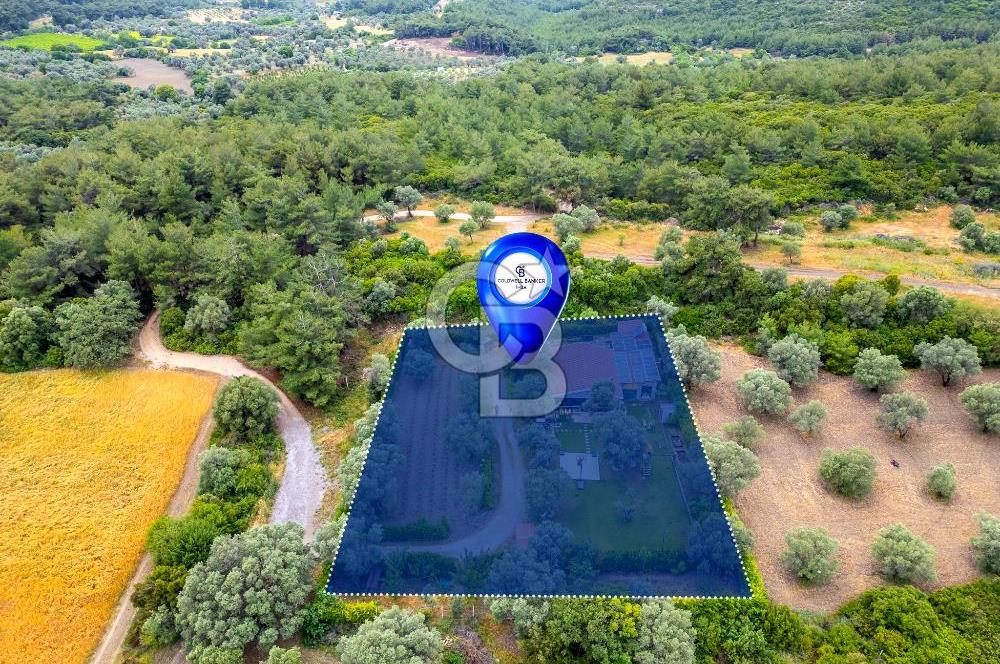 URLA ÖZBEK MAH. 2186 M2 İÇERİSİNDE TAM MÜSTAKİL EV