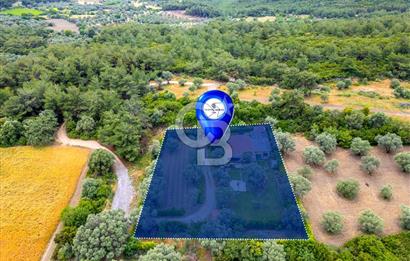 URLA ÖZBEK MAH. 2186 M2 İÇERİSİNDE TAM MÜSTAKİL EV