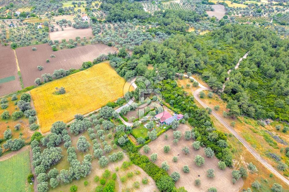 URLA ÖZBEK MAH. 2186 M2 İÇERİSİNDE TAM MÜSTAKİL EV