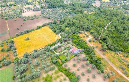 URLA ÖZBEK MAH. 2186 M2 İÇERİSİNDE TAM MÜSTAKİL EV