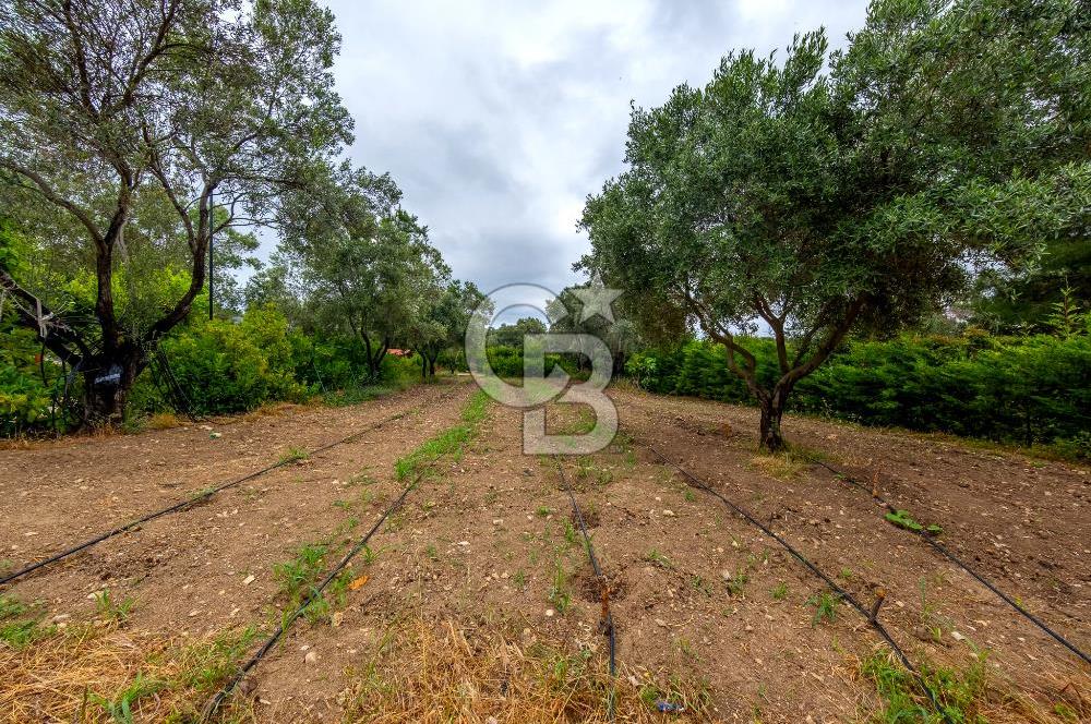 URLA ÖZBEK MAH. 2186 M2 İÇERİSİNDE TAM MÜSTAKİL EV