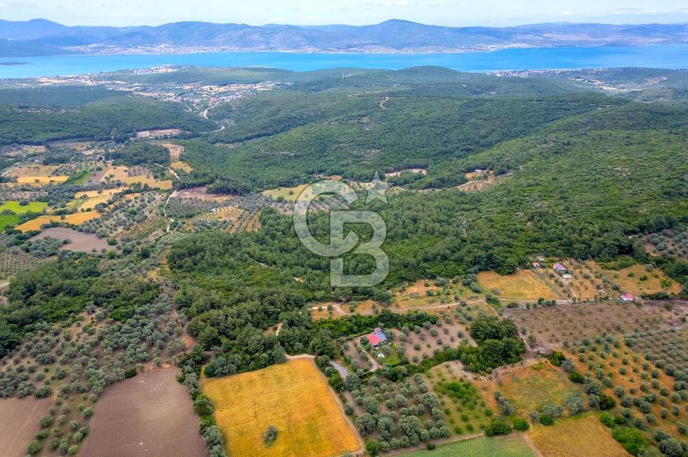 URLA ÖZBEK MAH. 2186 M2 İÇERİSİNDE TAM MÜSTAKİL EV
