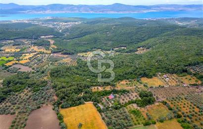 URLA ÖZBEK MAH. 2186 M2 İÇERİSİNDE TAM MÜSTAKİL EV