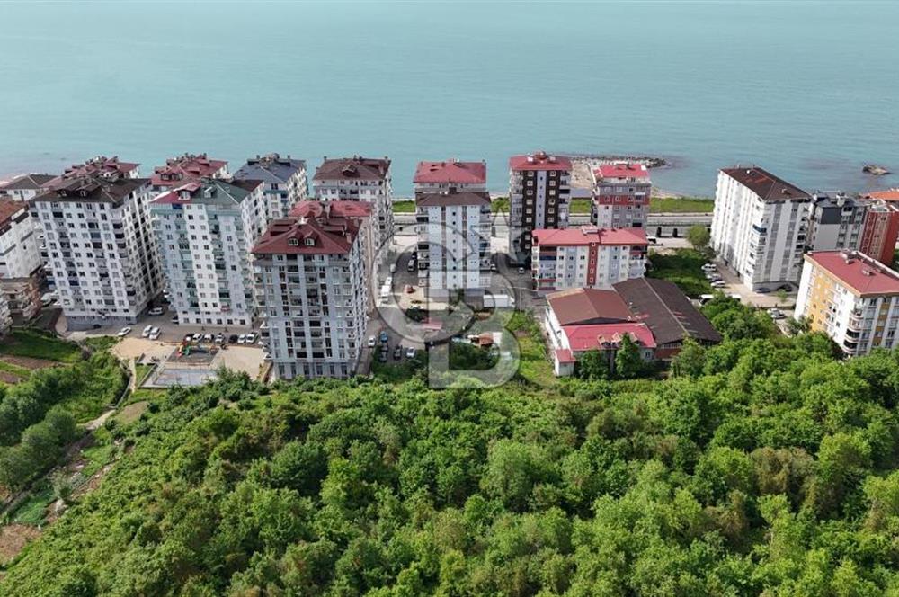 ARSİN YEŞİLYALIDA DÜMDÜZ YOLA YAKIN SATILIK ARAZİ