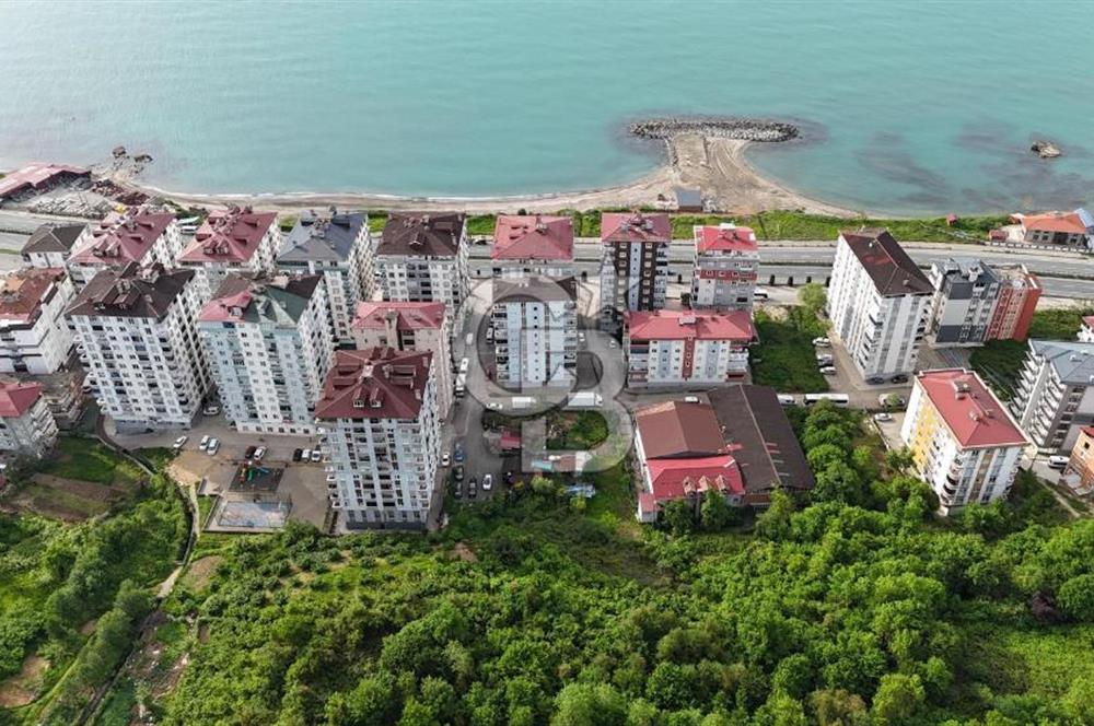 ARSİN YEŞİLYALIDA DÜMDÜZ YOLA YAKIN SATILIK ARAZİ
