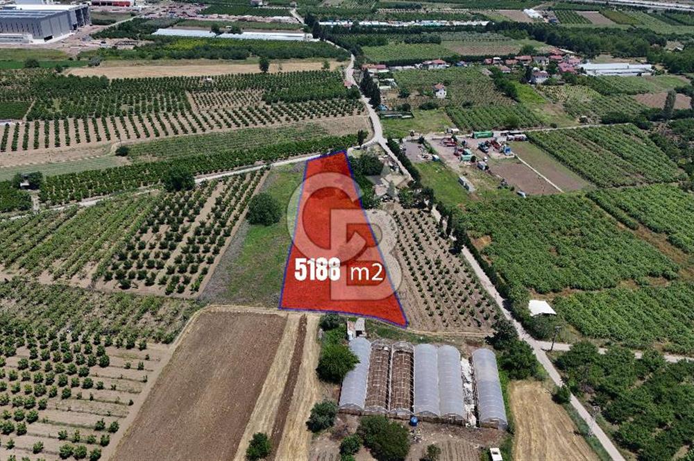 YALOVA ALTINOVADA TERSANELERE YAKIN SATILIK ARAZİ!