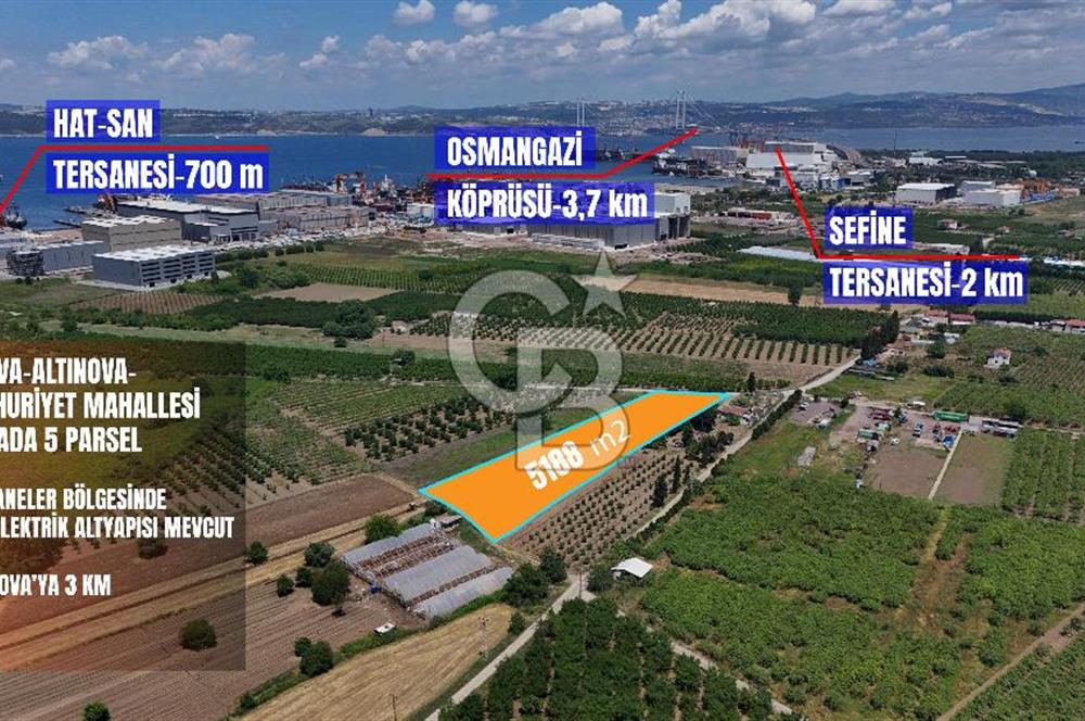YALOVA ALTINOVADA TERSANELERE YAKIN SATILIK ARAZİ!