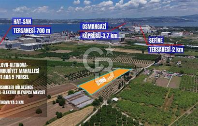 YALOVA ALTINOVADA TERSANELERE YAKIN SATILIK ARAZİ!