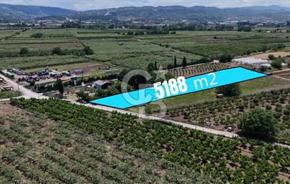 YALOVA ALTINOVADA TERSANELERE YAKIN SATILIK ARAZİ!