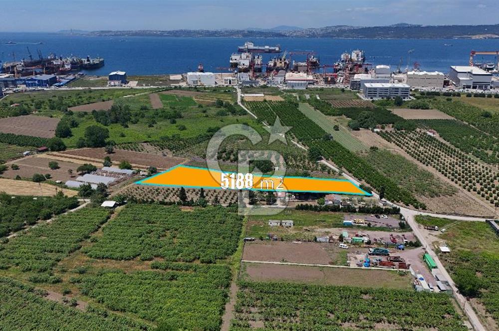 YALOVA ALTINOVADA TERSANELERE YAKIN SATILIK ARAZİ!