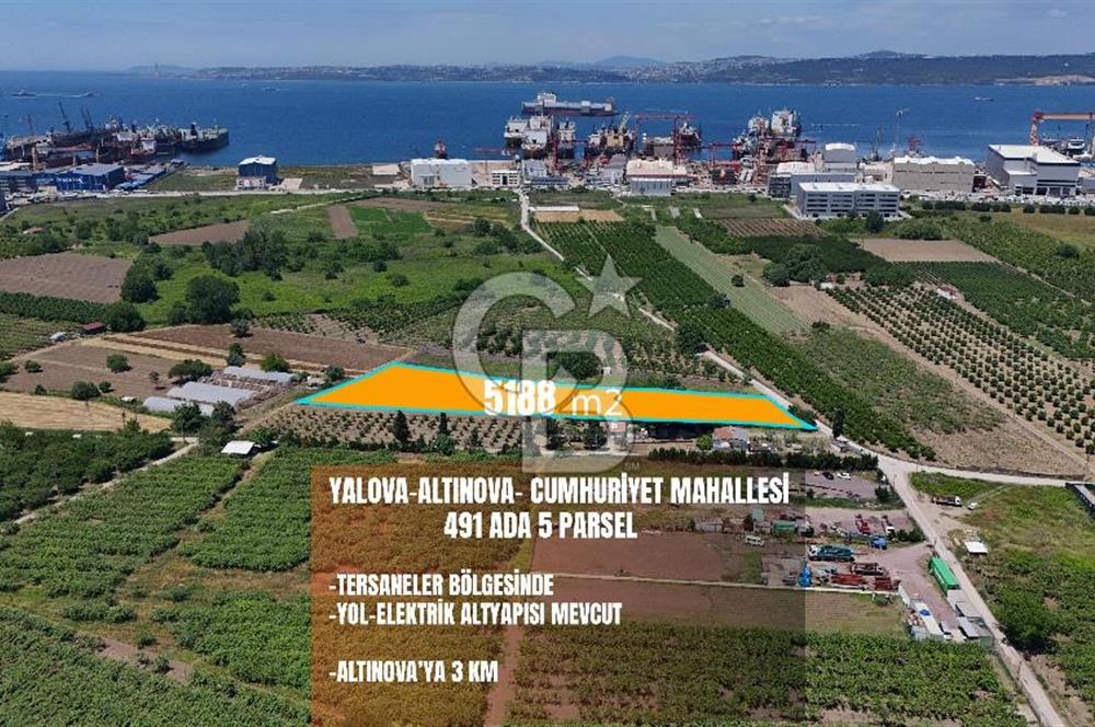 YALOVA ALTINOVADA TERSANELERE YAKIN SATILIK ARAZİ!