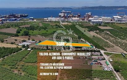 YALOVA ALTINOVADA TERSANELERE YAKIN SATILIK ARAZİ!