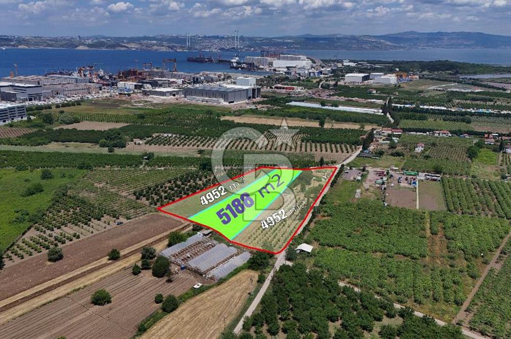 YALOVA ALTINOVADA TERSANELERE YAKIN SATILIK ARAZİ!