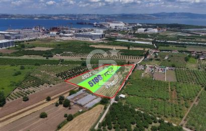 YALOVA ALTINOVADA TERSANELERE YAKIN SATILIK ARAZİ!