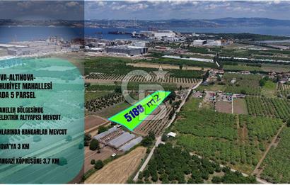 YALOVA ALTINOVADA TERSANELERE YAKIN SATILIK ARAZİ!