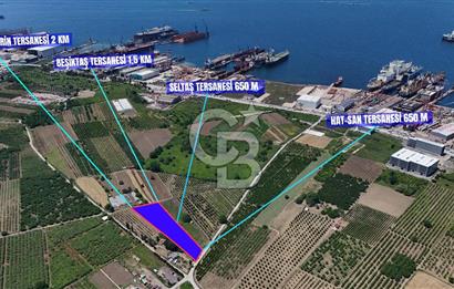YALOVA ALTINOVADA TERSANELERE YAKIN SATILIK ARAZİ!
