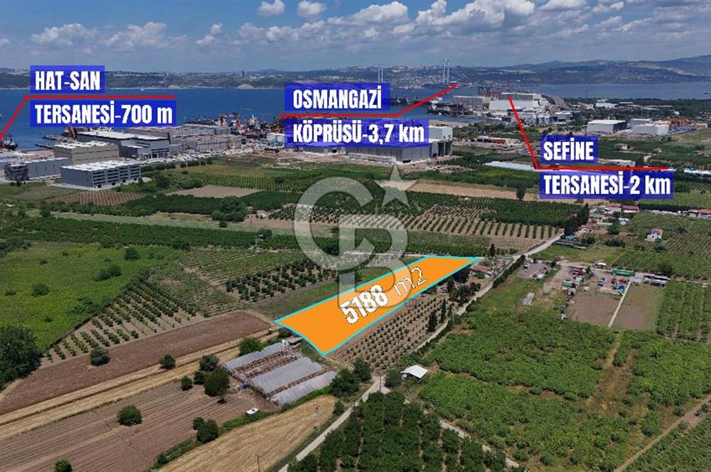 YALOVA ALTINOVADA TERSANELERE YAKIN SATILIK ARAZİ!