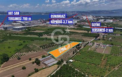 YALOVA ALTINOVADA TERSANELERE YAKIN SATILIK ARAZİ!
