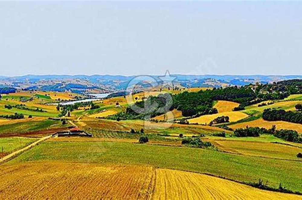 CBTAN-KOCAELİ/DERİNCE/TAHTALI GÖL MANZARALI 6972M2 SATILIK TARLA